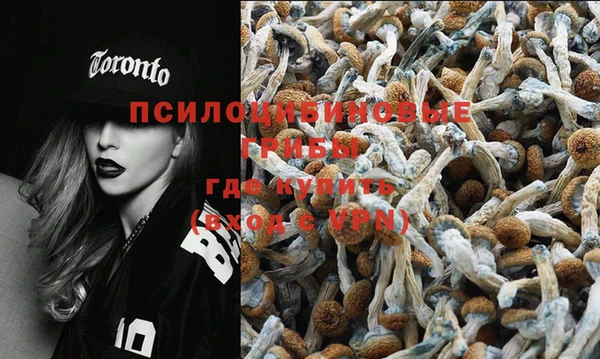 тгк Абинск